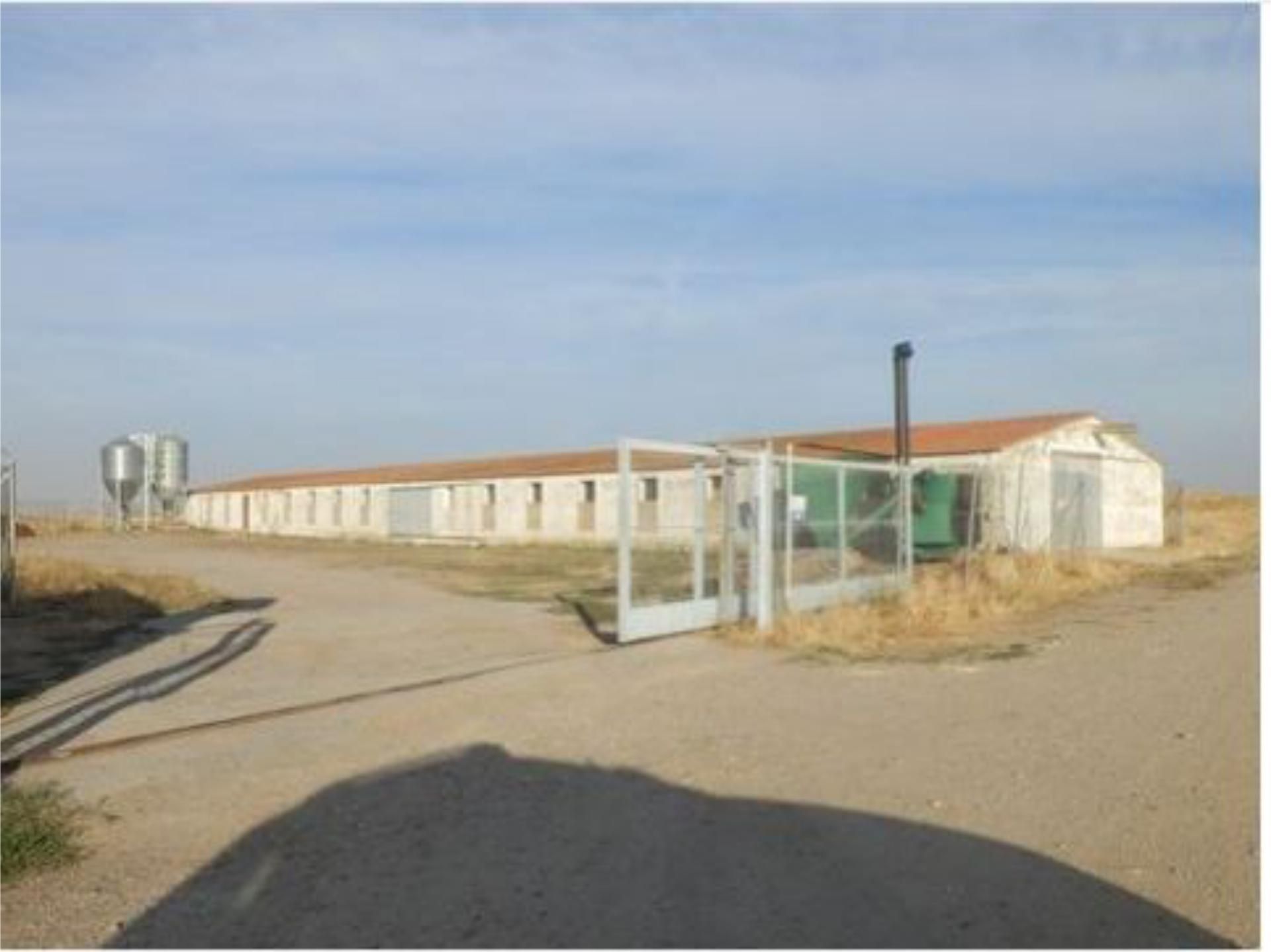 Exterior view of Land for sale in Entrala