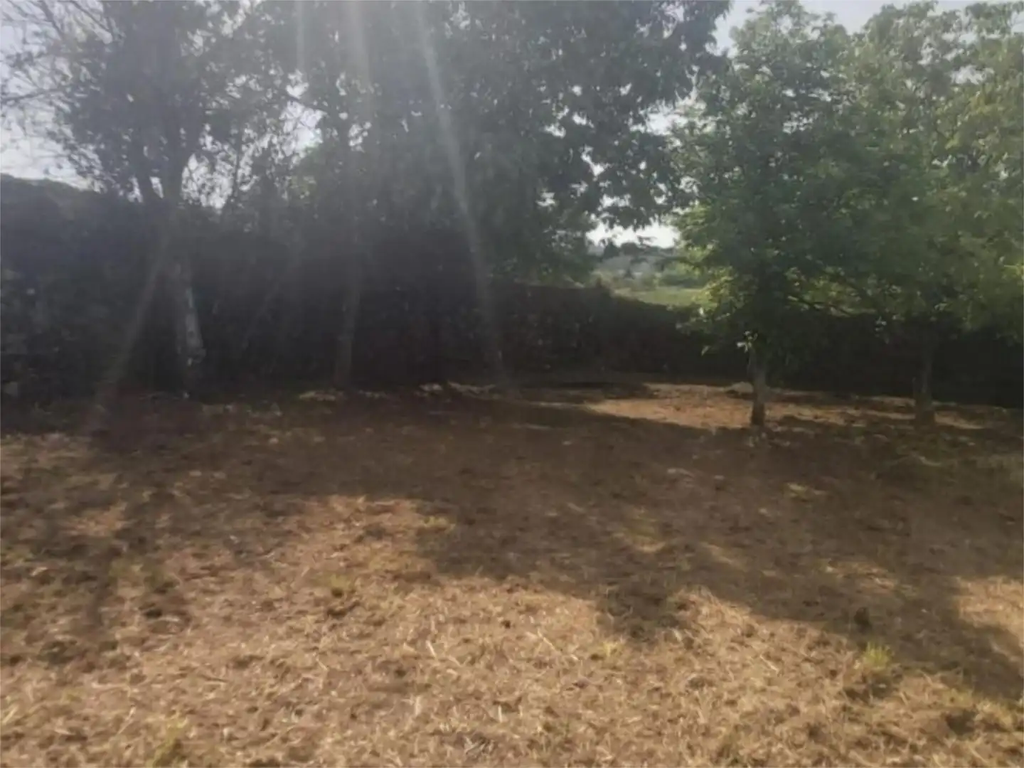Casa o xalet en venda a Poblado Val, 1, Agolada Casa o xalet en venda en Agolada amb Jardí privat, Terrassa i Balcó