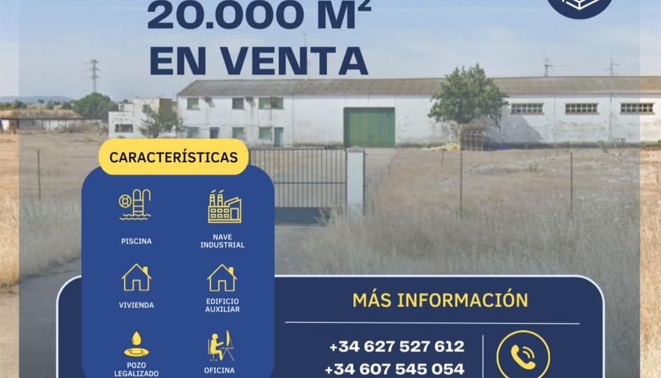 Foto 1 de Finca rústica en venda a Carretera Badajoz Granada, 8-10, La Albuera, Badajoz