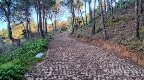 Finca rústica en venta en Gu-212, 15, Aranzueque, Guadalajara - imagen 5 Foto 5 de Finca rústica en venta en Gu-212, 15, Aranzueque, Guadalajara