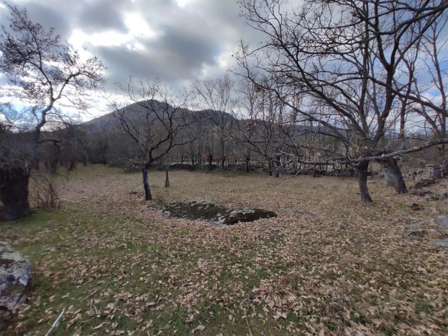 Grundstücke zum Verkauf in Centro - Manguilla Grundstücke zum Verkauf in El Escorial