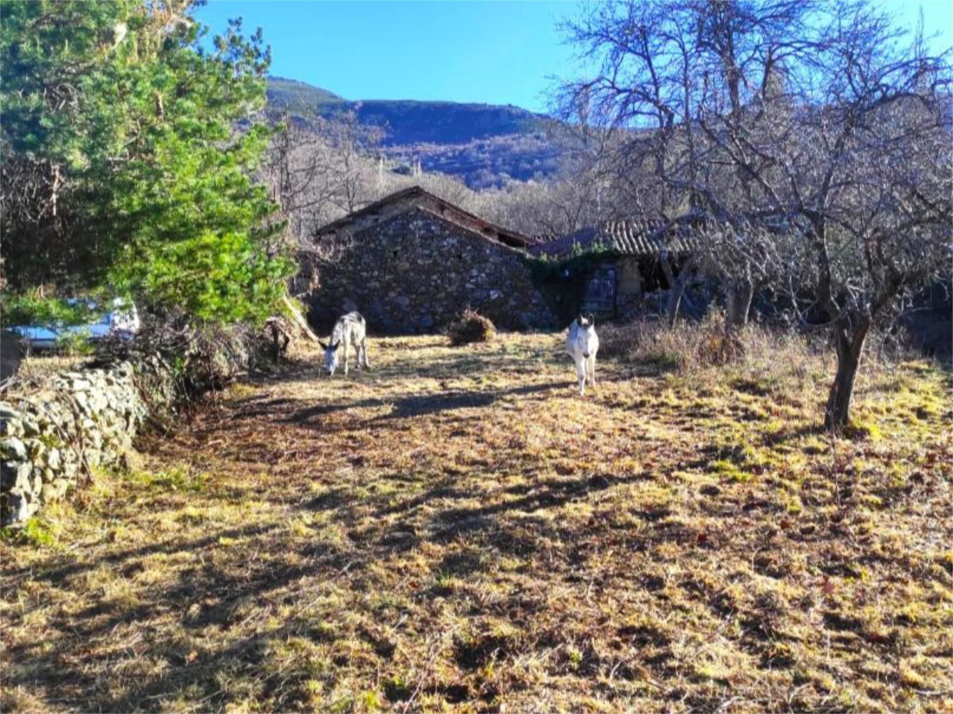 Terreno en venta en Calle la Cruz, 11, Navaescurial Vista exterior de Terreno en venta en Navaescurial