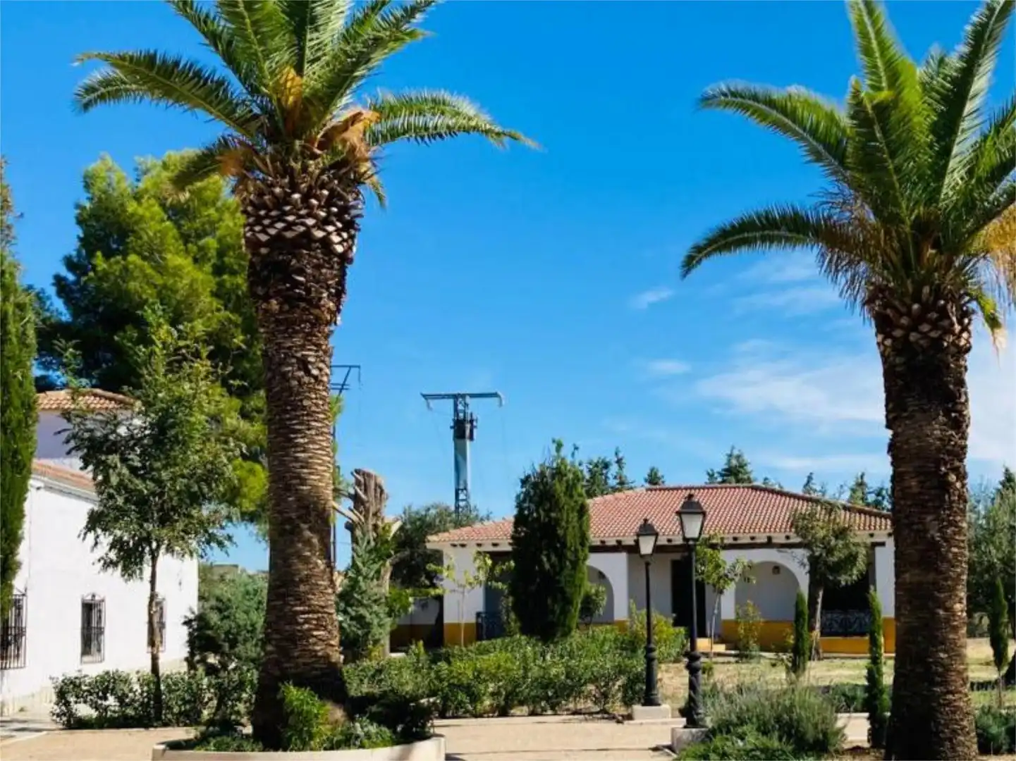 Vista exterior de Finca rústica en venda en La Puebla de Montalbán amb Jardí privat, Terrassa i Traster