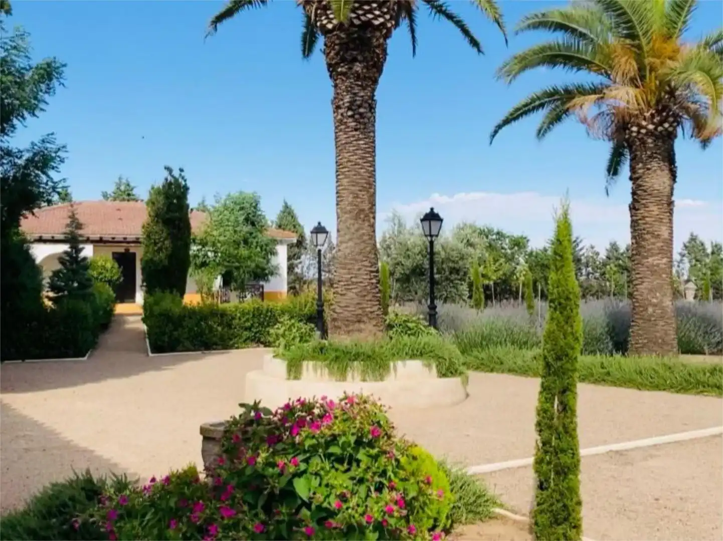 Jardí de Finca rústica en venda en La Puebla de Montalbán amb Jardí privat, Terrassa i Traster