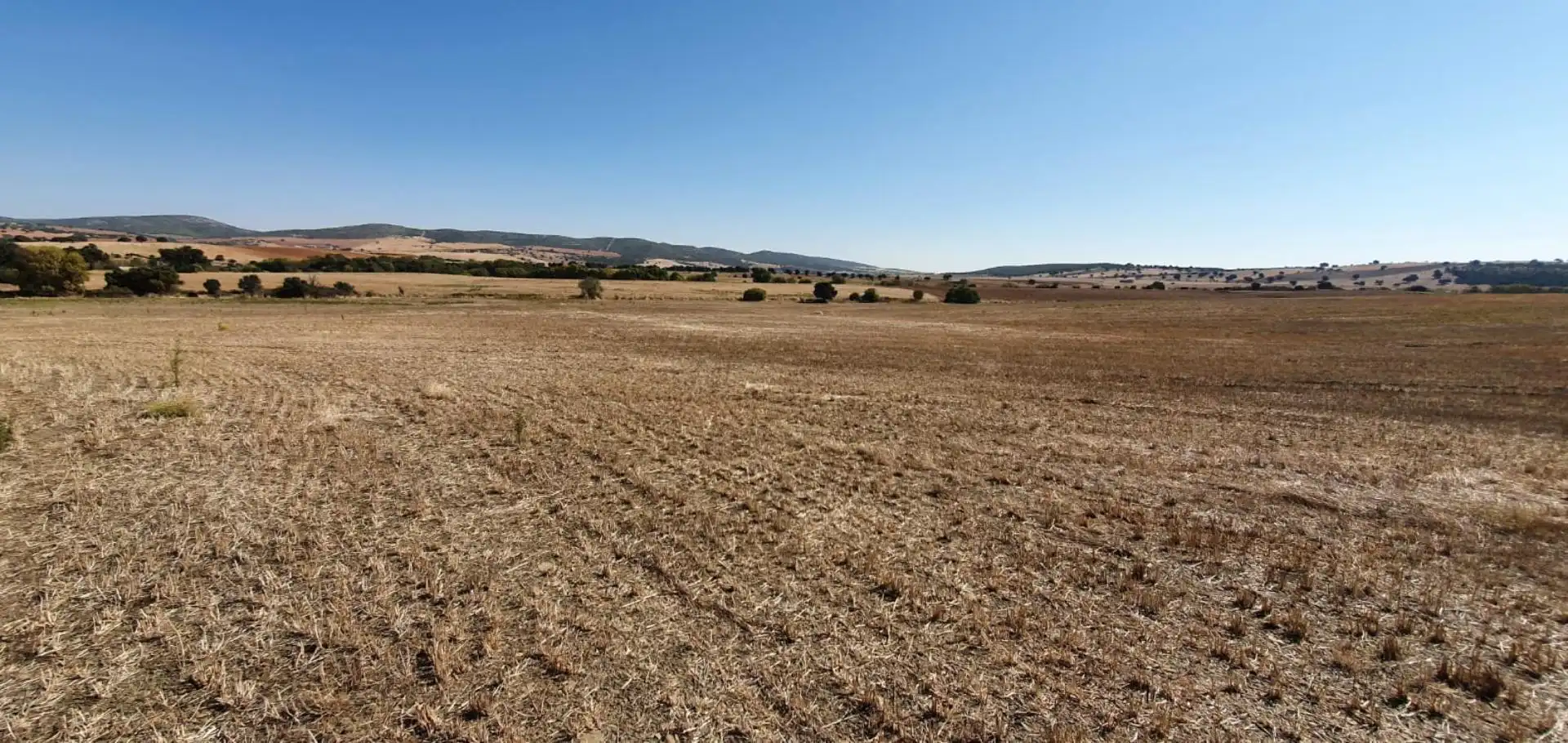 Finca rústica en venda a Los Pozuelos de Calatrava Finca rústica en venda en Los Pozuelos de Calatrava