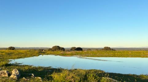 Foto 3 de Finca rústica en venda a Calle San Agustín, 16, Mejostilla, Cáceres