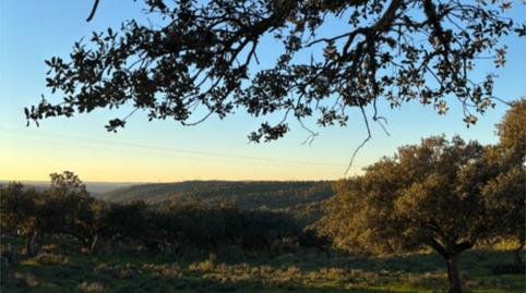Foto 5 de Finca rústica en venda a Calle San Agustín, 16, Mejostilla, Cáceres