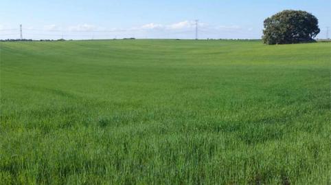 Foto 5 de No Urbanizable en venta en Calle Romeral, 48, Corpa, Madrid