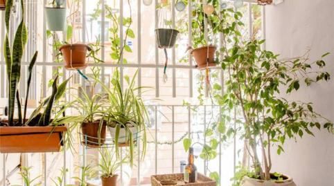 Flat to share in Camí Vell de Xirivella, 5, Soternes, Valencia - image 2 Photo 2 of Flat to share in Camí Vell de Xirivella, 5, Soternes, Valencia