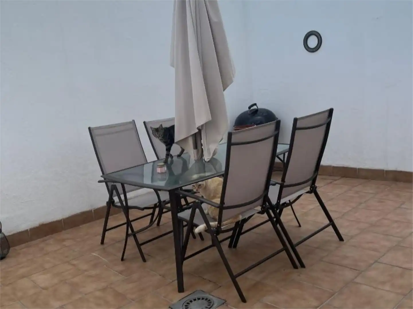 Terrace of Detached homes for sale in Córdoba  with Air Conditioner, Heating and Terrace