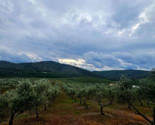 Exterior view of Land for sale in Fuente del Arco