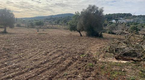 Photo 3 of Constructible Land for sale in Zona d'Interior, Illes Balears
