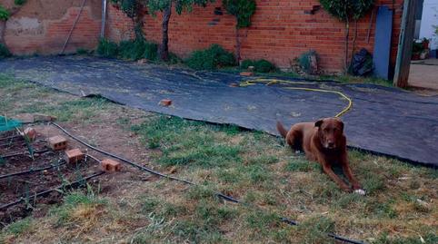 Foto 3 de Finca rústica en venda a Calle San Martin, 17, Urdiales del Páramo, León