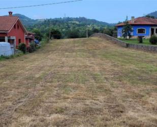 Land for sale in Piloña