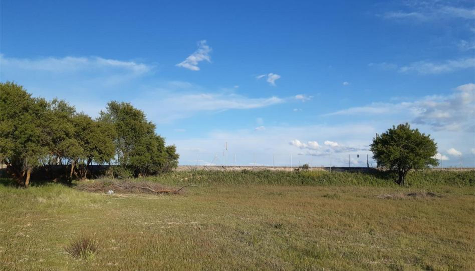 Finca rústica en venda a Calle Kaki, 2, Tarancón, Cuenca - imatge 1 Foto 1 de Finca rústica en venda a Calle Kaki, 2, Tarancón, Cuenca