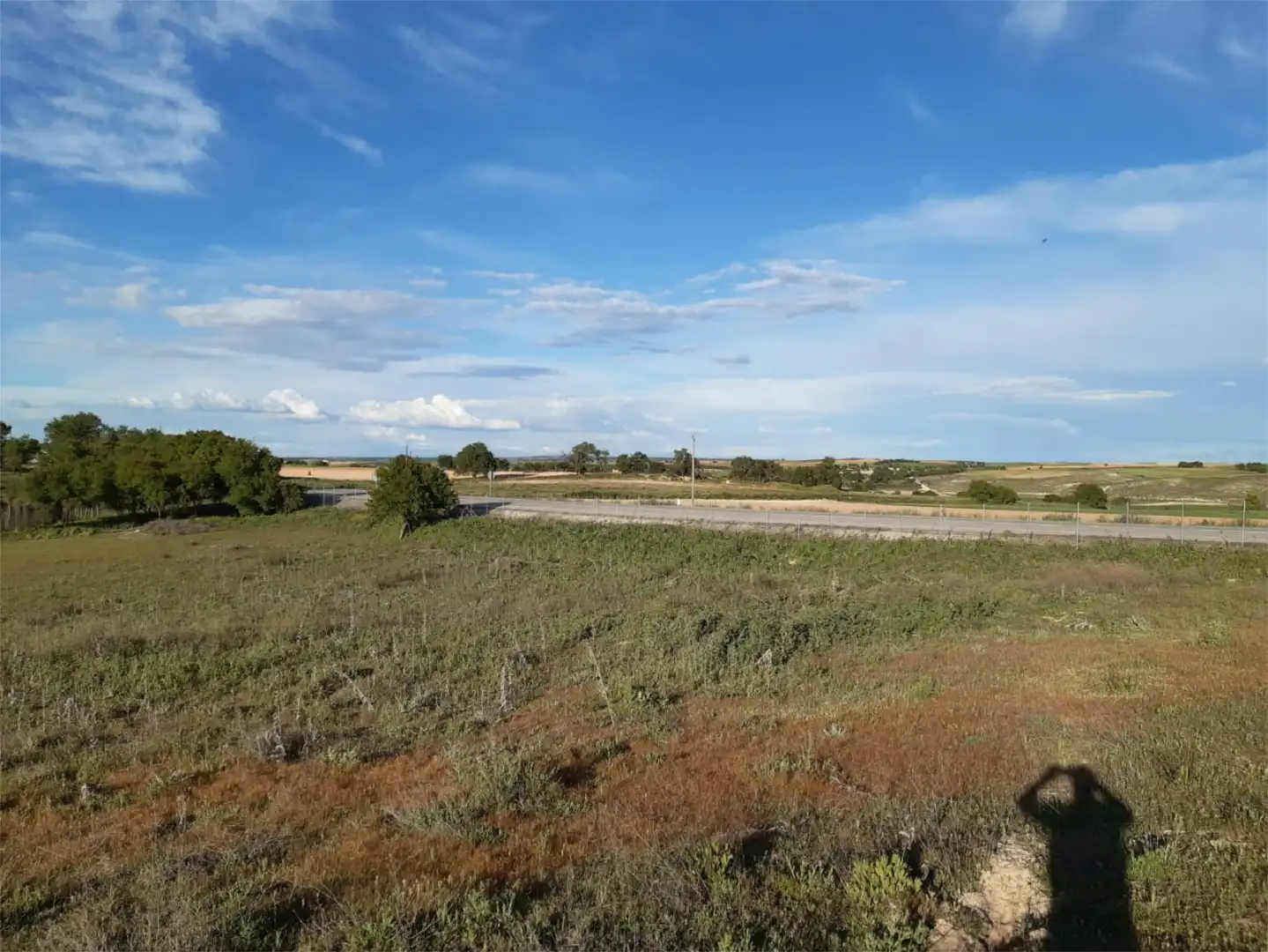 Country homes for rent in Calle Kaki, 2, Tarancón