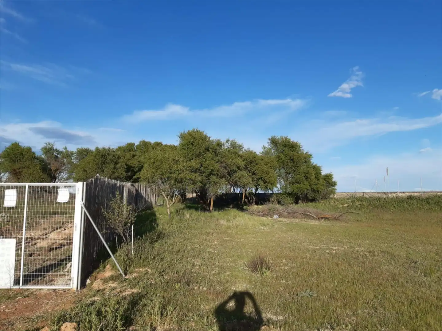 Country homes for rent in Calle Kaki, 2, Tarancón