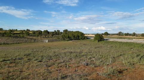 Finca rústica en venda a Calle Kaki, 2, Tarancón, Cuenca - imatge 5 Foto 5 de Finca rústica en venda a Calle Kaki, 2, Tarancón, Cuenca