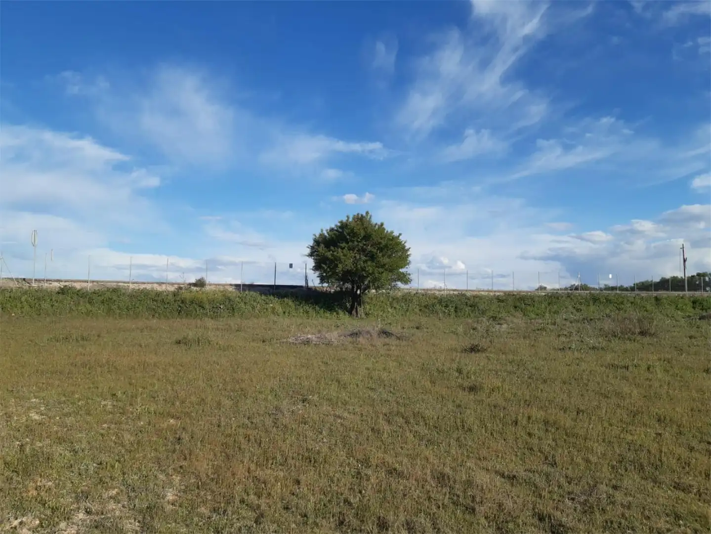 Country homes for rent in Calle Kaki, 2, Tarancón