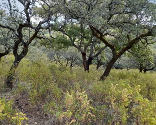 Abstellraum miete in Aldea los Madroñeros, 1, Alájar