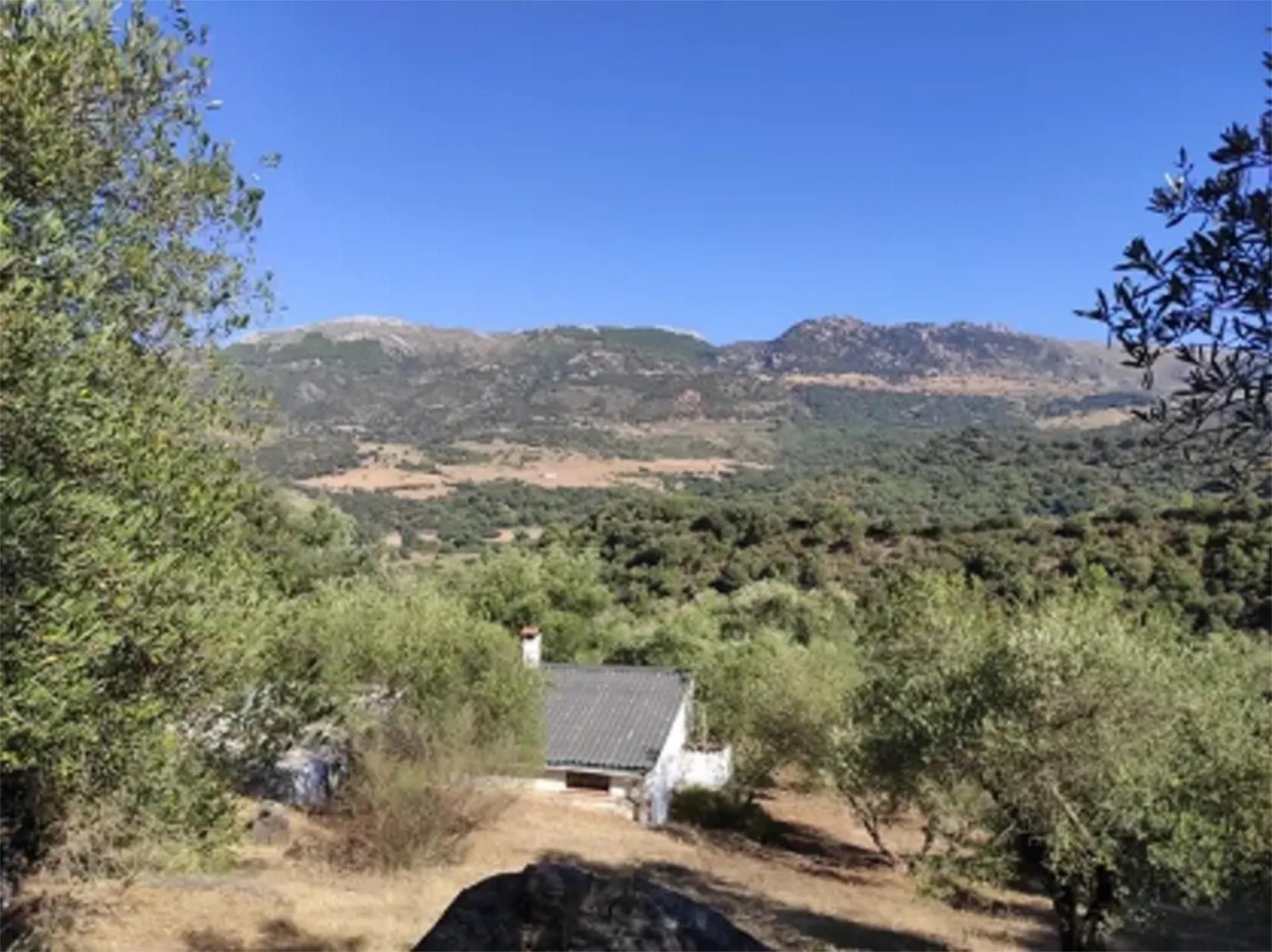 Vista exterior de Finca rústica en venda en Cortes de la Frontera amb Terrassa