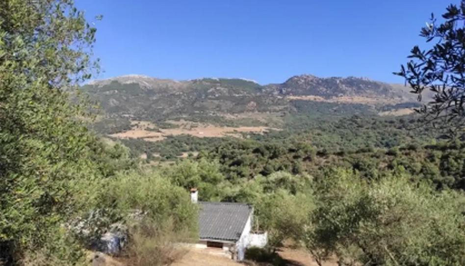 Foto 1 de Finca rústica en venda a Cortes de la Frontera, Málaga