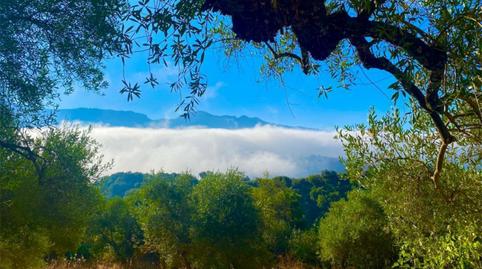 Foto 2 de Finca rústica en venda a Cortes de la Frontera, Málaga