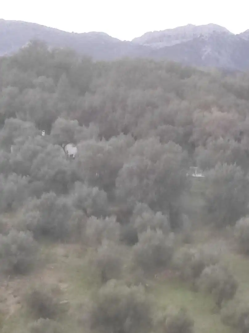 Finca rústica en venta en Cortes de la Frontera con Calefacción, Jardín privado y Terraza