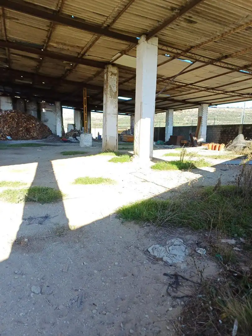 Land for sale in Pedrajas de San Esteban