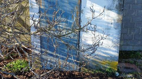 Foto 2 de Terreno en venta en Lugar la Manteca, 1, Pedrajas de San Esteban, Valladolid