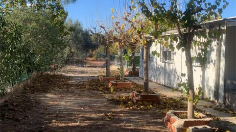 Planta baja en venta en Calle Tirso de Molina, 26, Las Torres de Cotillas, Murcia - imagen 3 Foto 3 de Planta baja en venta en Calle Tirso de Molina, 26, Las Torres de Cotillas, Murcia