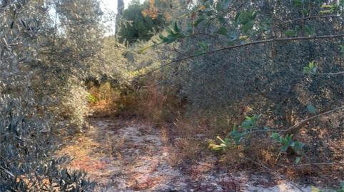 Planta baja en venta en Calle Tirso de Molina, 26, Las Torres de Cotillas, Murcia - imagen 5 Foto 5 de Planta baja en venta en Calle Tirso de Molina, 26, Las Torres de Cotillas, Murcia