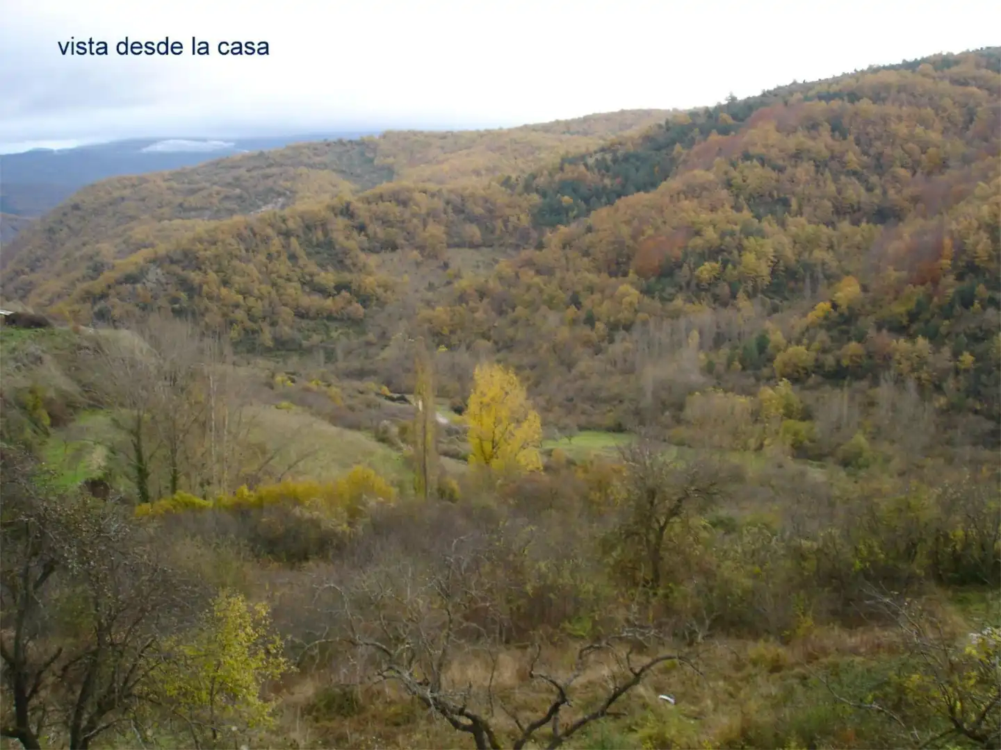 Casa o chalet en venta en Calle Luciano Bueno, 13, Nieva de Cameros Casa o chalet en venta en Nieva de Cameros con Jardín privado