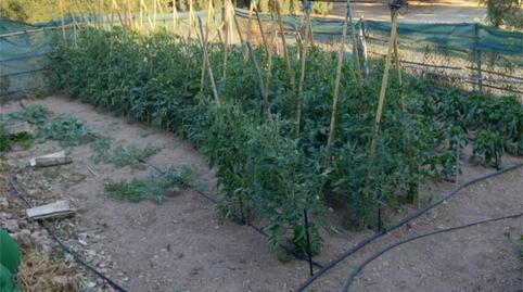 Foto 3 de Finca rústica en venta en Ma-6101, 185, Villanueva de Algaidas, Málaga