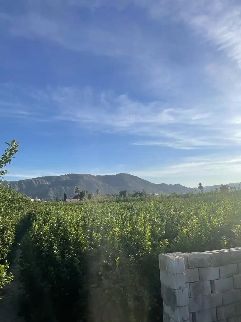 Terreno en venta en Diseminado Carril Almodovar, 6, Los Ramos Vista exterior de Terreno en venta en Murcia