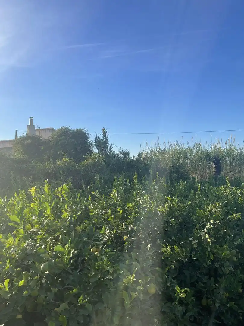 Terreno en venta en Diseminado Carril Almodovar, 6, Los Ramos Terreno en venta en Murcia