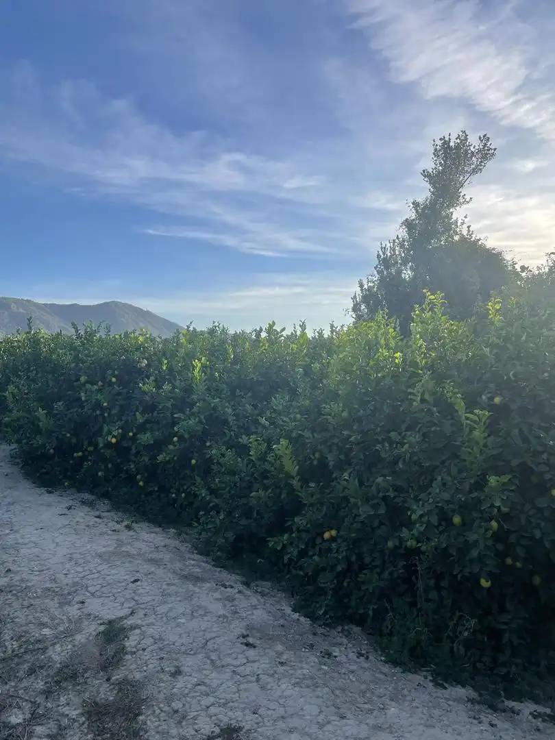 Terreno en venta en Diseminado Carril Almodovar, 6, Los Ramos Terreno en venta en Murcia