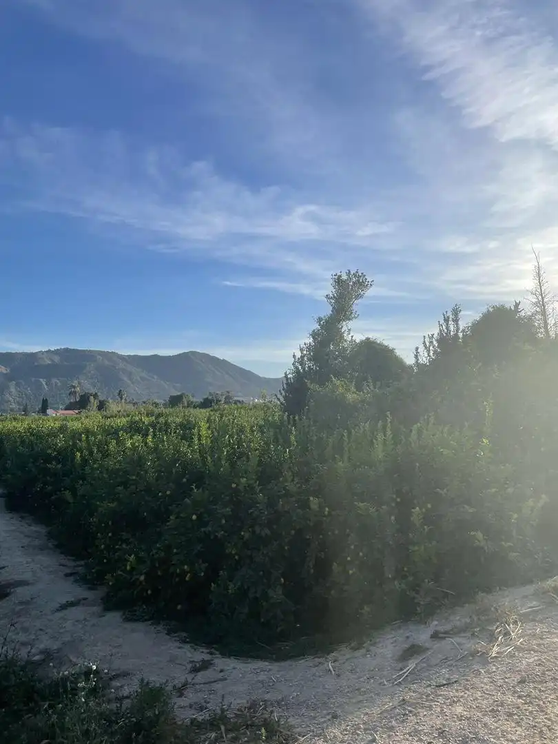 Terreno en venta en Diseminado Carril Almodovar, 6, Los Ramos Terreno en venta en Murcia