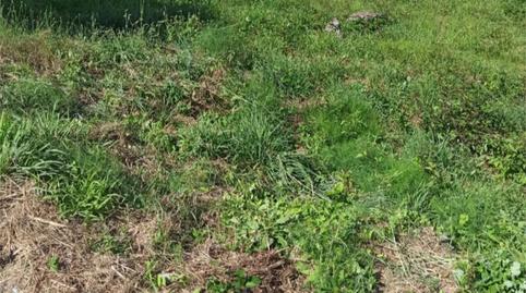 Photo 2 of Land for sale in Aldea Villavidal, 25, Ramirás, Ourense