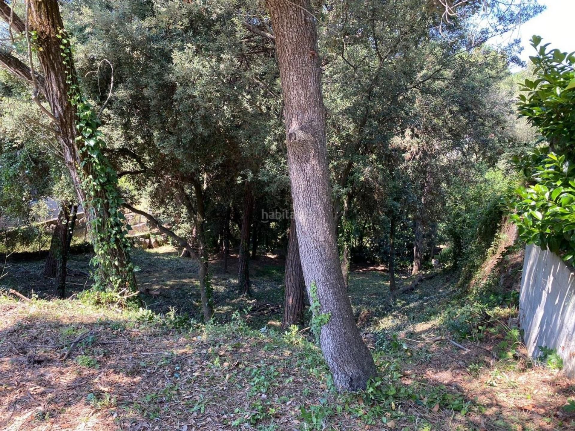 Land for sale in Cànoves I Samalús