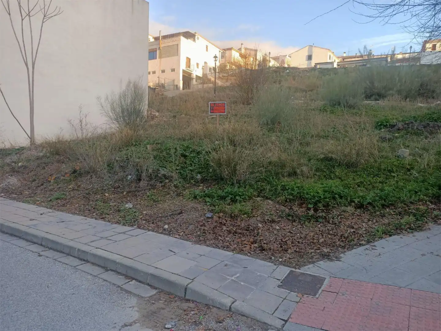 Constructible Land for sale in Deifontes