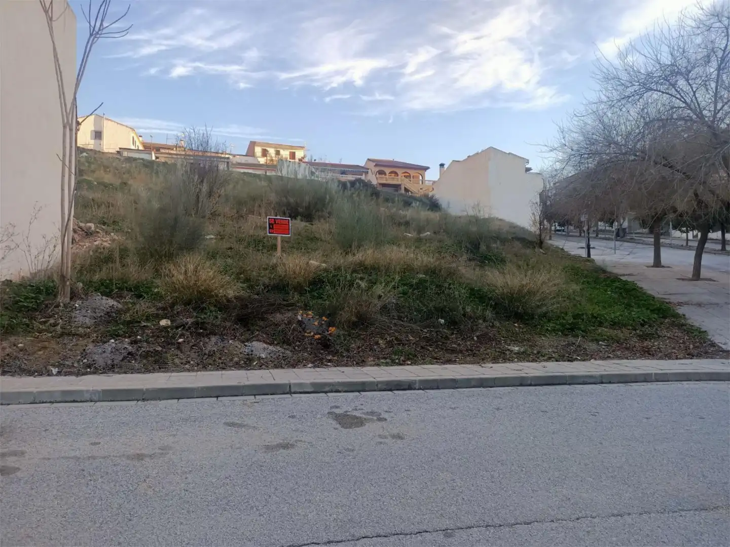 Constructible Land for sale in Deifontes
