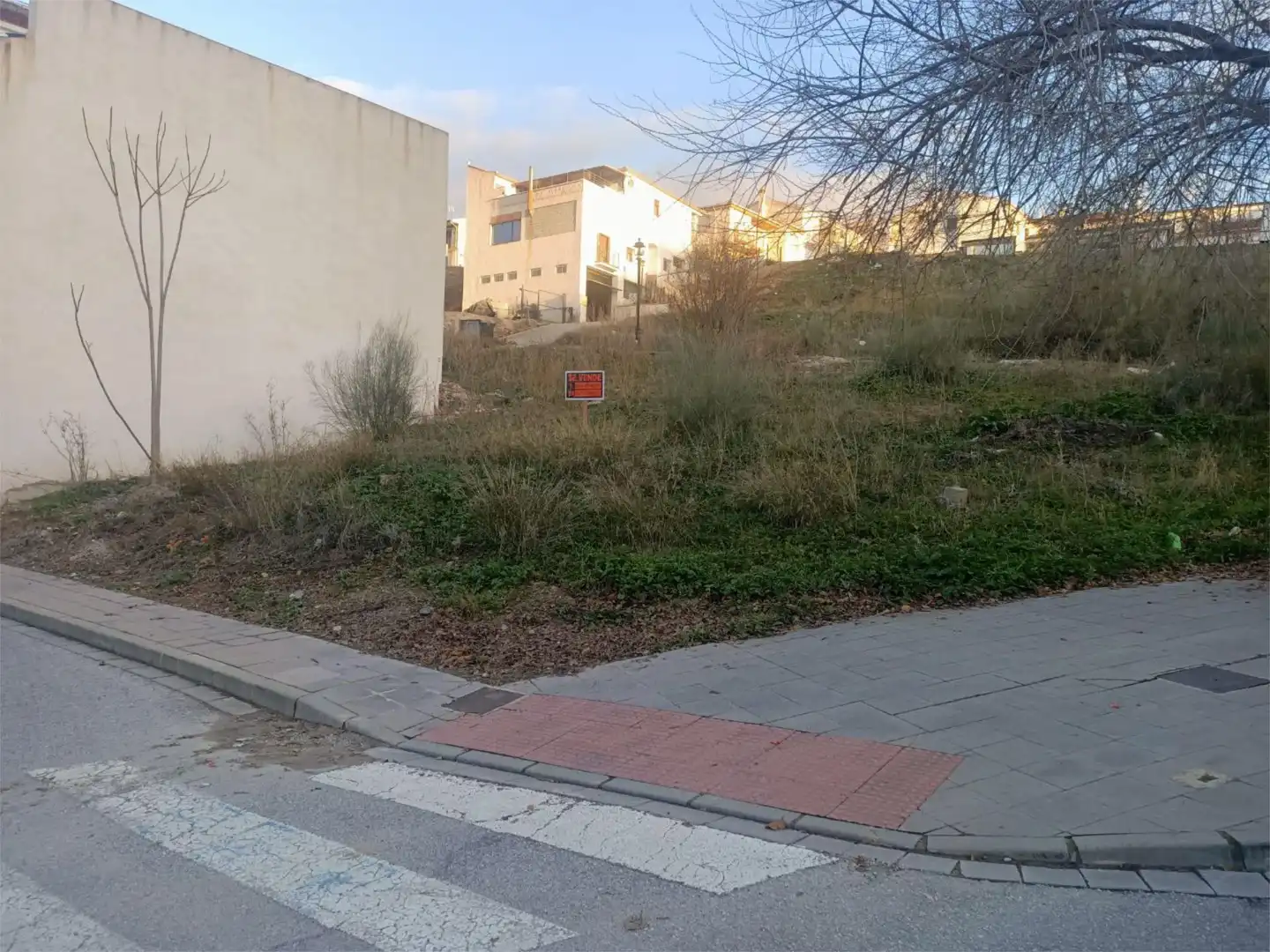 Constructible Land for sale in Deifontes