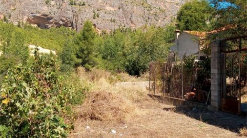 Foto 2 de Finca rústica en venta en Poblado Graya, 83, Yeste, Albacete