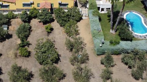 Foto 5 de Apartament de lloguer a Valverde de Leganés, Badajoz