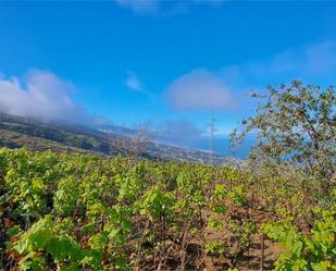 Vista exterior de Finca rústica en venda en La Victoria de Acentejo