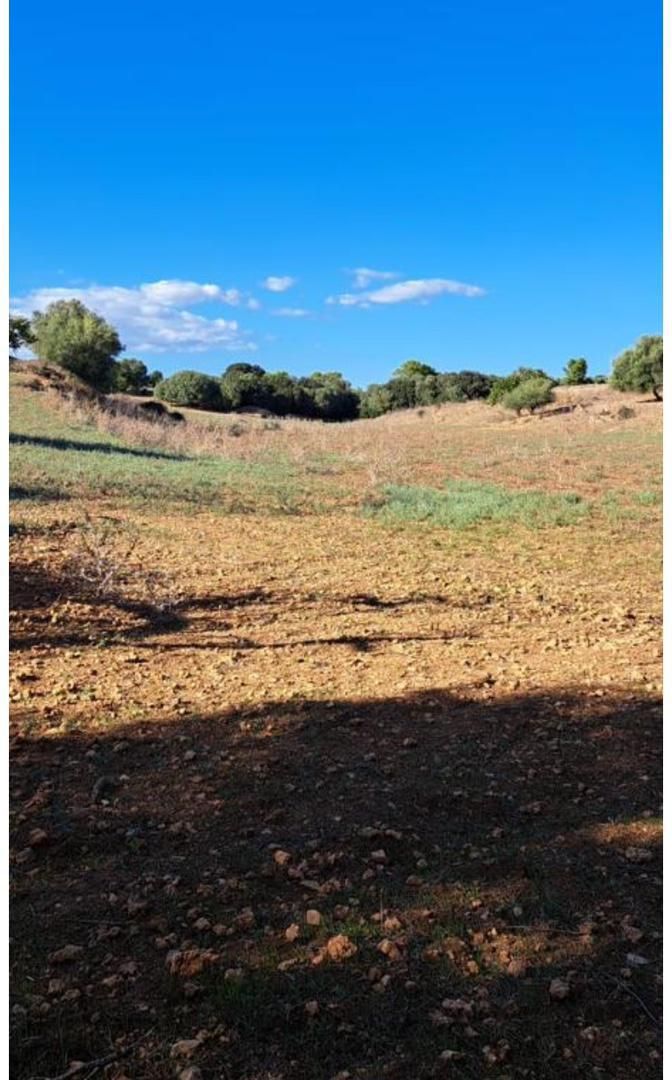 Land for sale in Plaça Major, 9, Campos poble Land for sale in Campos