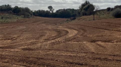 Photo 3 of Land for sale in Plaça Major, 9, Campos poble, Campos