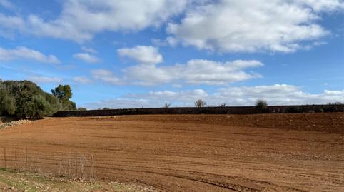 Photo 5 of Land for sale in Plaça Major, 9, Campos poble, Campos