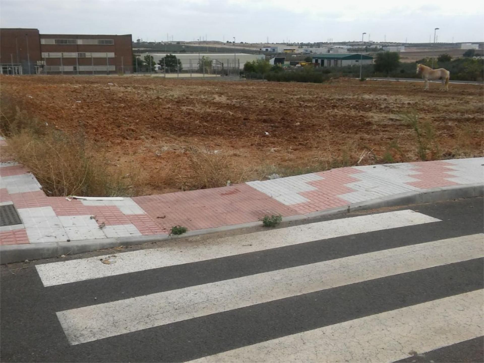 Residential for sale in Calamonte Residential for sale in Calamonte